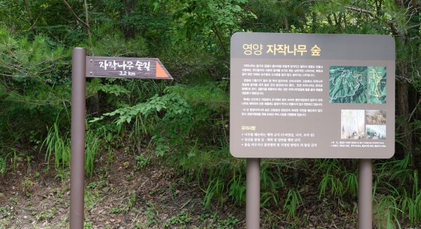 자작먹튀 검증 숲 가는길. 3.2Km 표지판이 보인다. 사진=박성기 칼럼니스트.