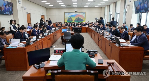 지난 10일 국회에서 진행된 정무위원회 국정감사. 사진=연합뉴스