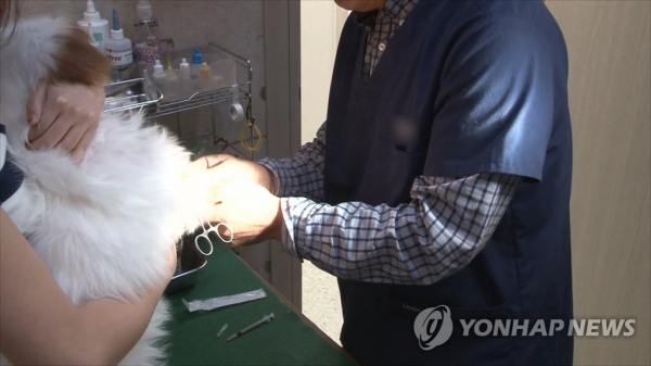 “실손보험 꼴 날라” 금융당국, 펫보험 수술대로…업계 지형 바뀔까